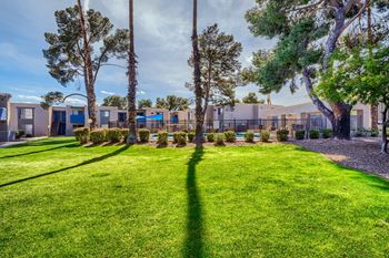 Courtyard with lush landscape
